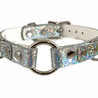 SILVER RAINBOW