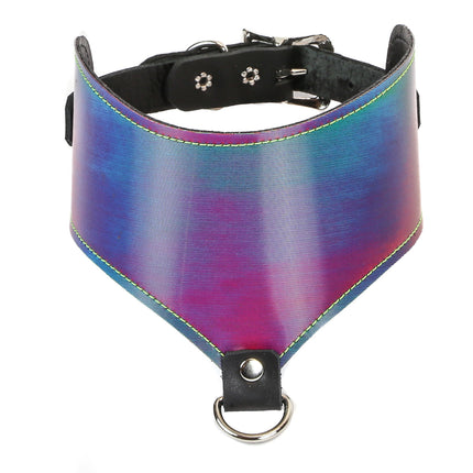 FC513RN RAINBOW POSTURE COLLAR WITH D RING
