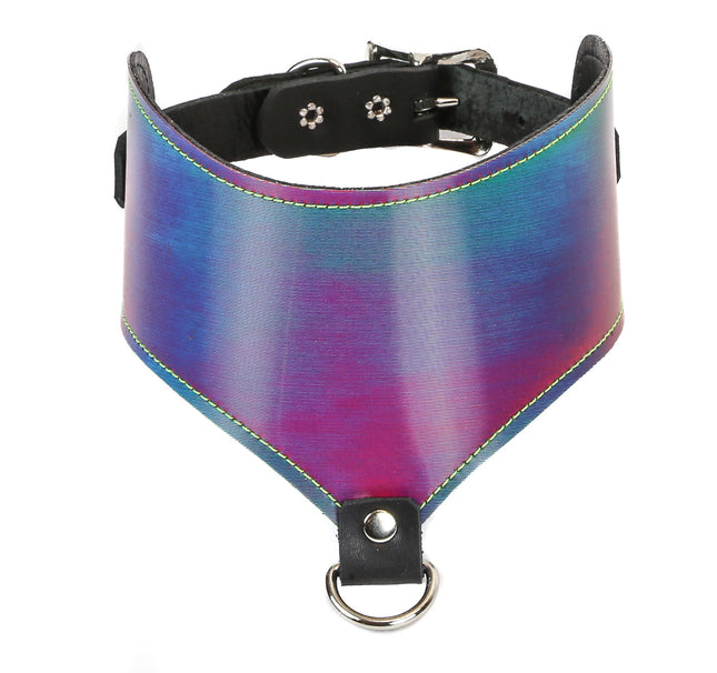 FC513RN RAINBOW POSTURE COLLAR WITH D RING