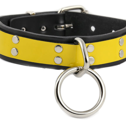 FC540  LARGE LOOP RING NEON BONDAGE CHOKER