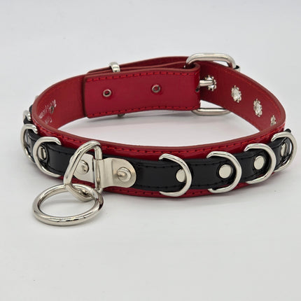 FC783 PATENT NEON BONDAGE CHOKER MULTI D RING BONDAGE CHOKER