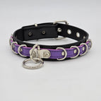 BLACK-PURPLE