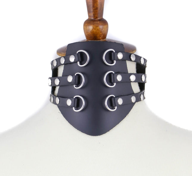 FC858 D RING POSTURE COLLAR