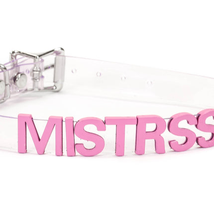 FC291VN-CLR-PS  STAINLESS STEEL LETTER WORDS ID NAME VINYL CHOKER