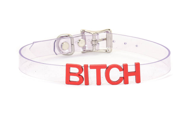 FC291VN-CLR-RS STAINLESS STEEL LETTER WORDS ID NAME CLEAR VINYL CHOKER