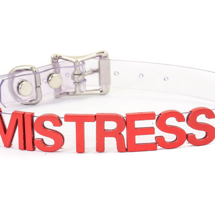FC291VN-CLR-RS STAINLESS STEEL LETTER WORDS ID NAME CLEAR VINYL CHOKER