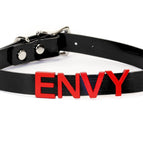 ENVY
