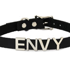ENVY