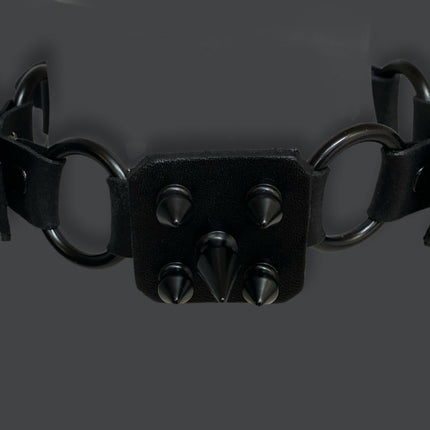 FCK284 RING & SPIKE