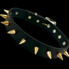 SPIKE SC GOLD
