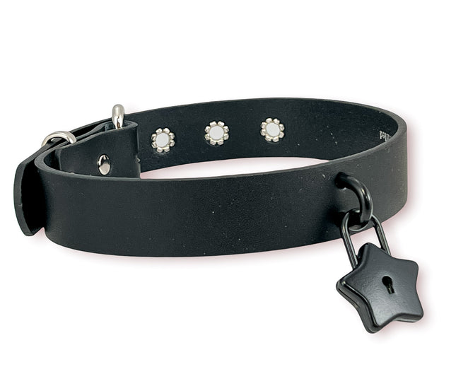 FCK371 STAR LOCK