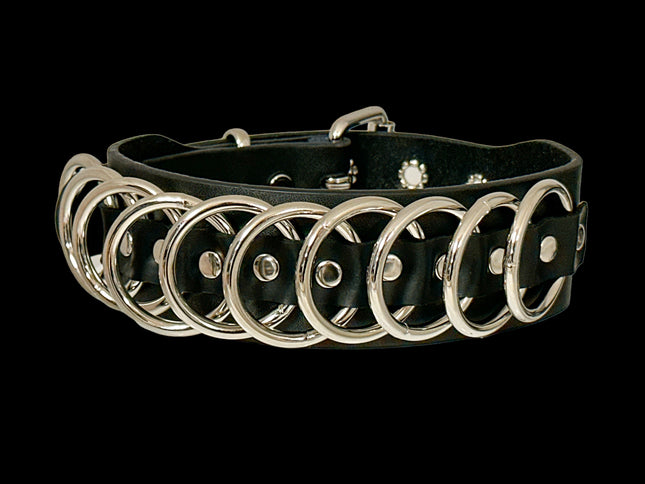 FCK465  1 1/2" RING  1 3/4" WIDE   MULTI  RING BONDAGE CHOKER