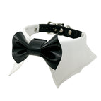 WHITE-BLACK