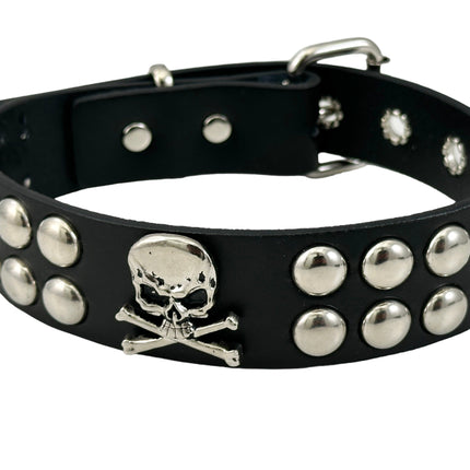 FCK532  ROUND STUDDED SKULL