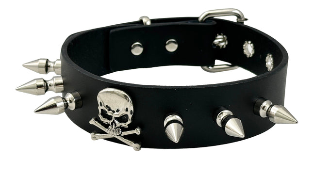 FCK534  ROUND STUDDED SKULL