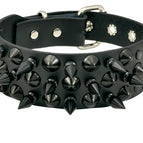 BLACK CONICAL