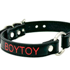 BOY TOY