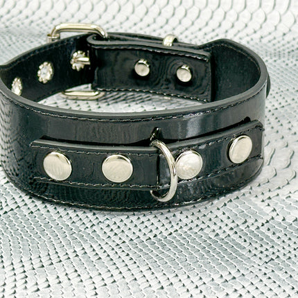 FCK654P  PATENT NEON D RING WIDE BONDAGE LARGE RIVET  CHOKER