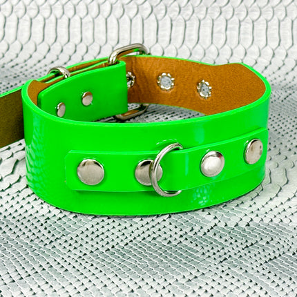 FCK654P  PATENT NEON D RING WIDE BONDAGE LARGE RIVET  CHOKER