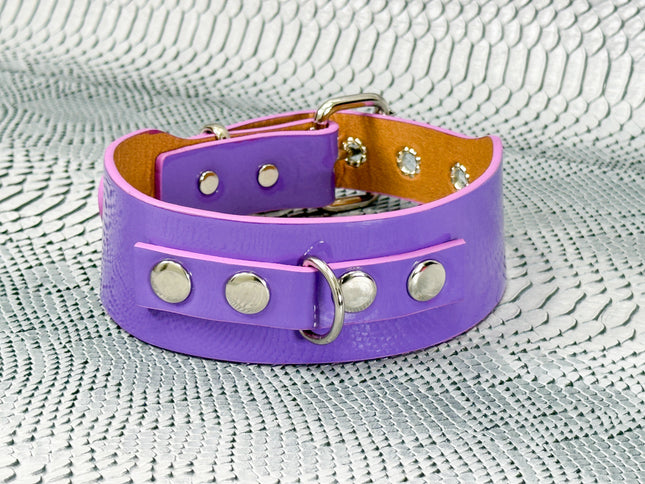 FCK654P  PATENT NEON D RING WIDE BONDAGE LARGE RIVET  CHOKER