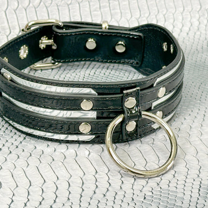 FCK655P  METAL PLATE PATENT NEON D RING WIDE BONDAGE LARGE RIVET  CHOKER