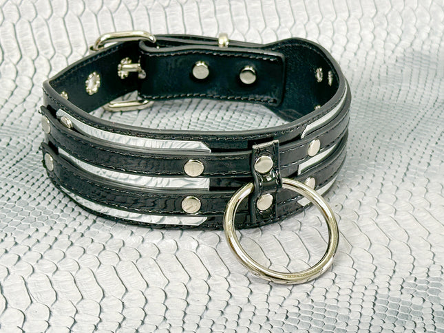 FCK655P  METAL PLATE PATENT NEON D RING WIDE BONDAGE LARGE RIVET  CHOKER