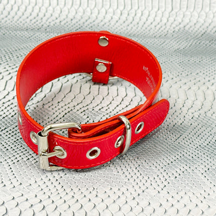 FCK658P  PATENT NEON O RING WIDE BONDAGE LARGE RIVET  CHOKER