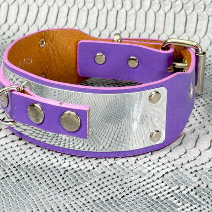 FCK660P  METAL PATENT NEON D RING WIDE BONDAGE LARGE RIVET  CHOKER