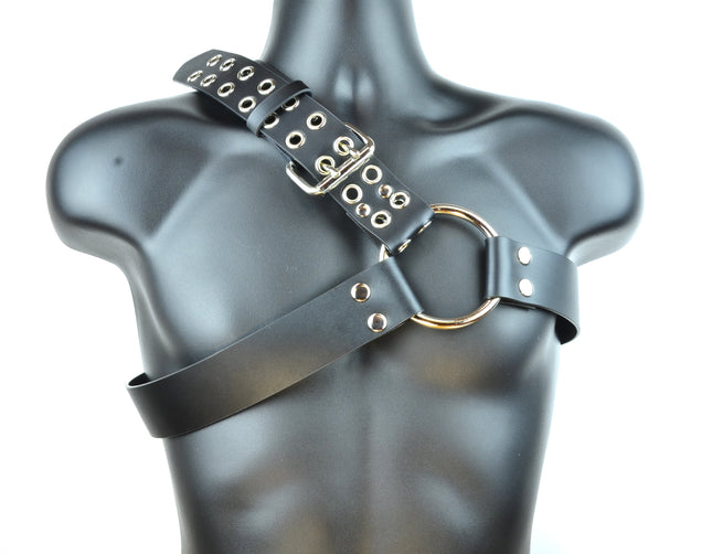 FH117 2 ROW EYELET HARNESS