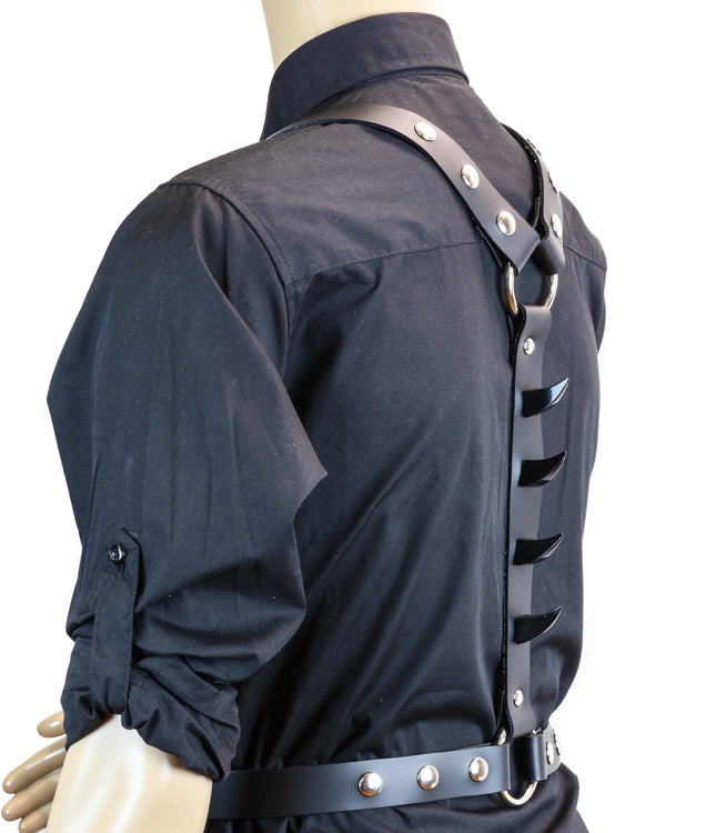 FH125EM ASSORTED SPIKE CLAW BACK BONE HARNESS