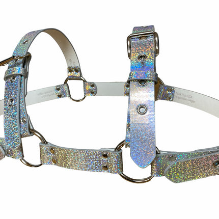 FH155 RAINBOW BULLDOG ONE SIZE