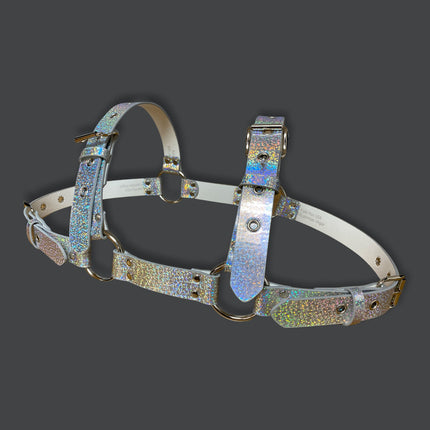 FH155 RAINBOW BULLDOG ONE SIZE