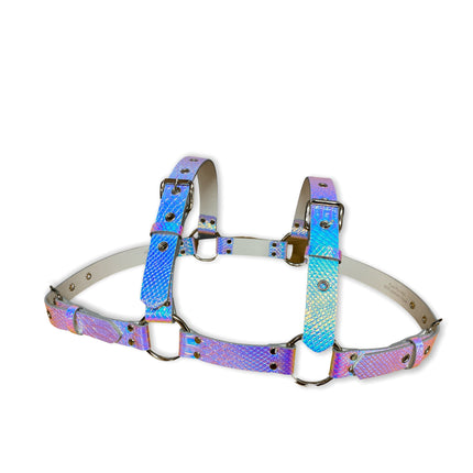 FH155 RAINBOW BULLDOG ONE SIZE