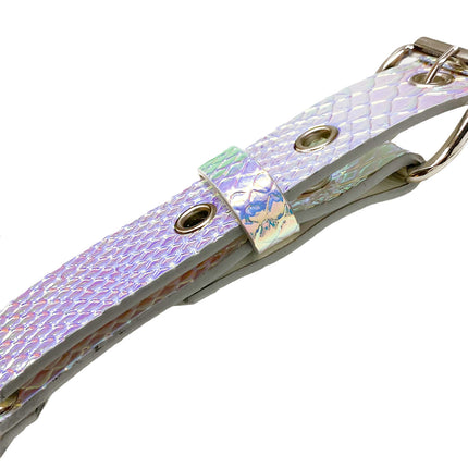 FH155 RAINBOW BULLDOG ONE SIZE