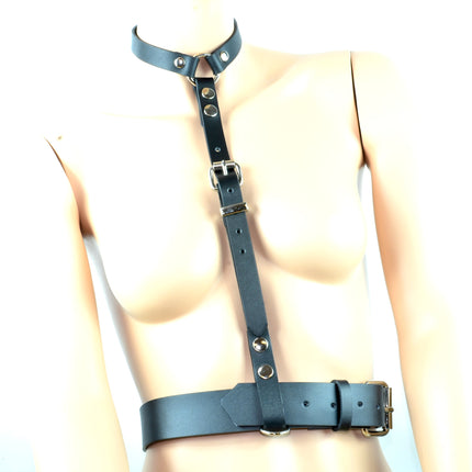 FHW103   T HARNESS WITH BELT