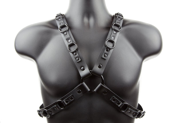 FHW106-BS -O- RING HARNESS 1 1/4" WIDE BLACK RINGS