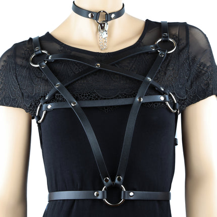 FHW110 STAR/PENTA HARNESS