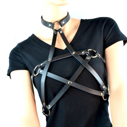 FHW110 STAR/PENTA HARNESS