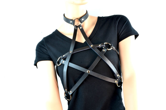 FHW110 STAR/PENTA HARNESS
