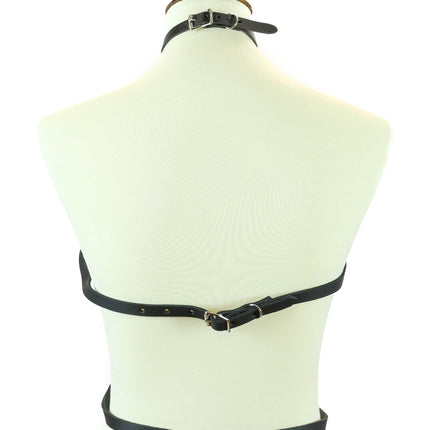 FHW110 STAR/PENTA HARNESS