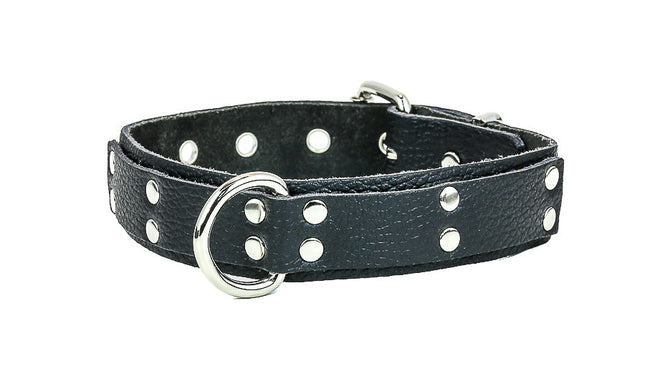 FMC104BF D RING RIVETED BUFFALO LEATHER COLLAR WITH LEASH