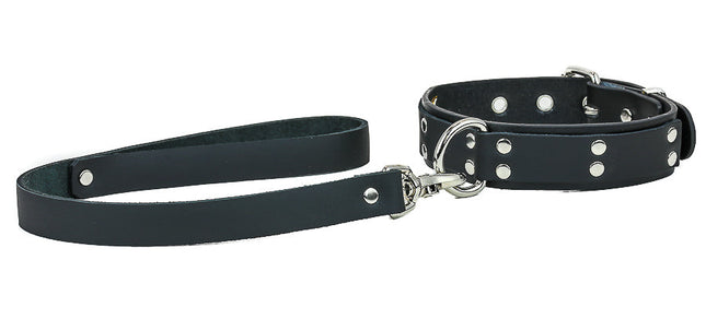 FMC104L D RING RIVETED LEATHER COLLAR WITH LEASH