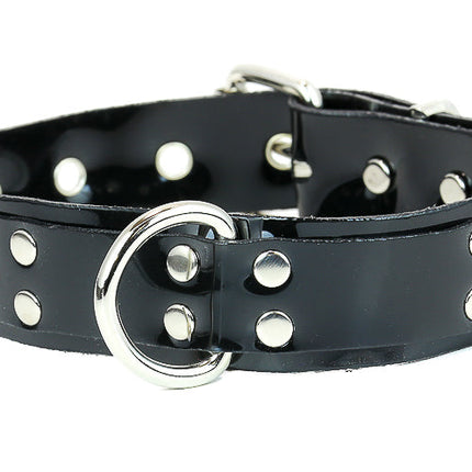 FMC104VN D RING RIVETED VINYL COLLAR WITH LEASH