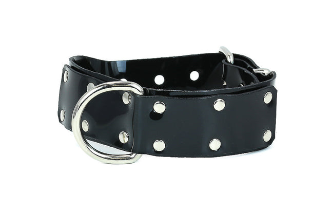 FMC107VN-BLK VINYL 1 3/4" COLLAR WITH LARGE D RING
