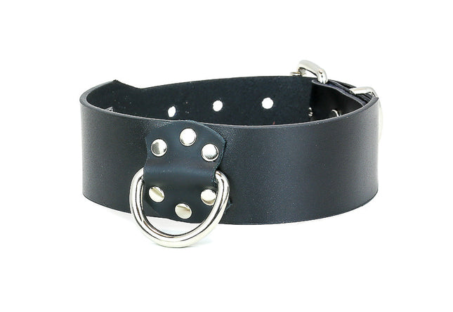 FMC108L D RING LEATHER CHOKER WITH LEASH