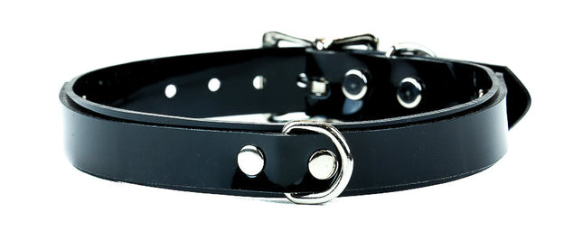FMC111VN 3/4" D RING VINYL CHOKER WITH LEASH