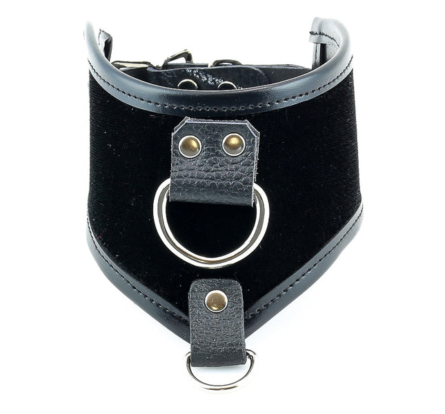 FMC116VEL LEATHER TRIM VELVET -O- RING POSTURE COLLAR