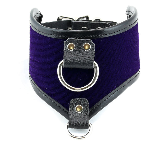FMC116VEL LEATHER TRIM VELVET -O- RING POSTURE COLLAR