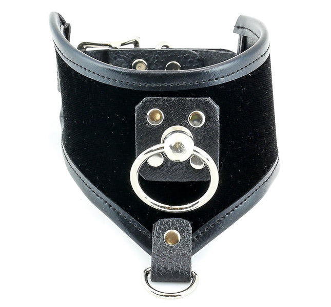 FMC117VEL O RING VELVET POSTURE COLLAR