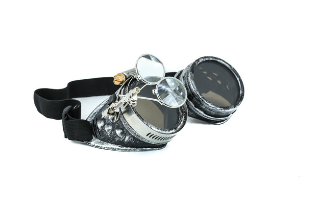 G236 2X LENS GOGGLES